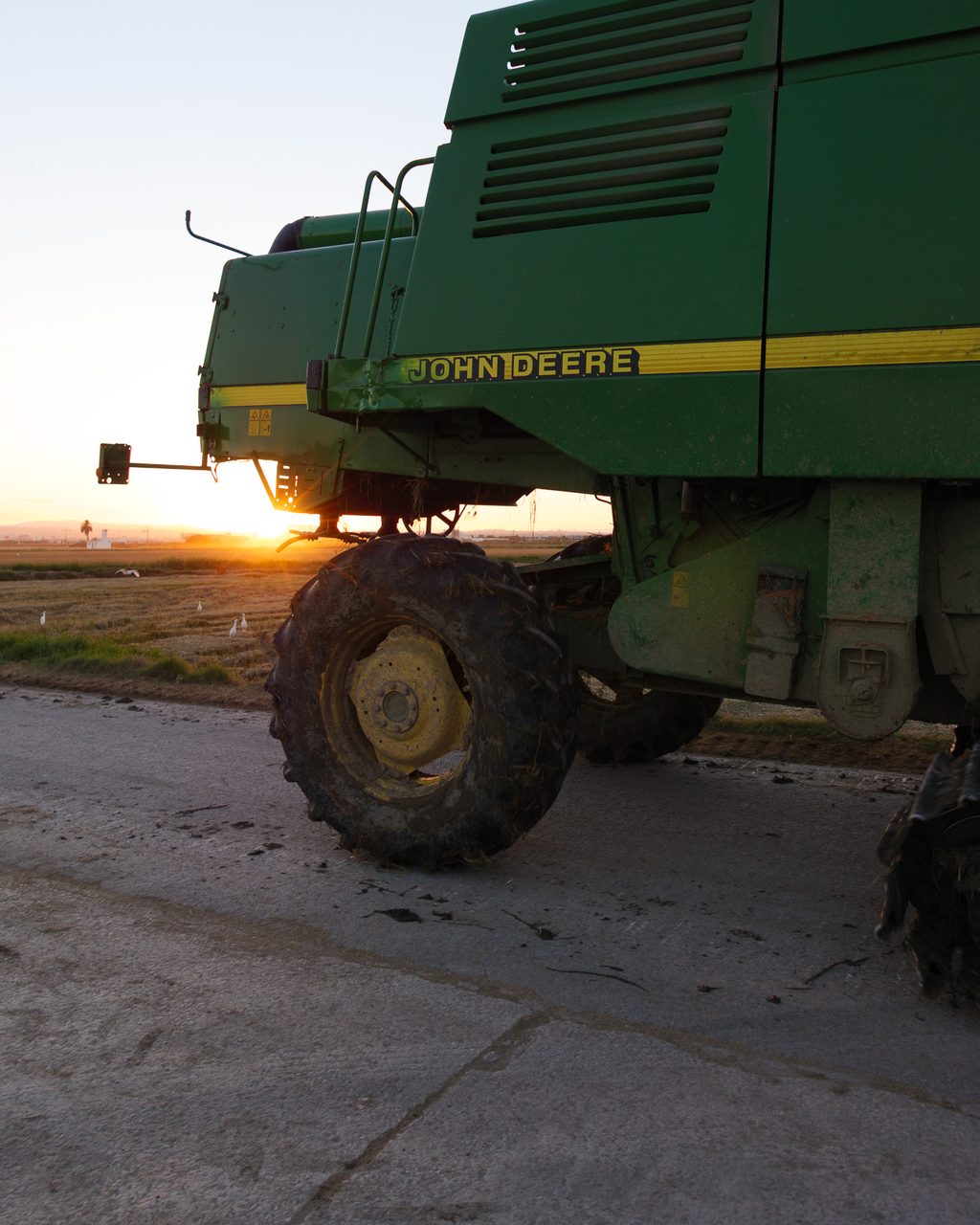 Una cosechadora John Deere detenida en un camino entre arrozales de la Albufera de Valencia al atardecer, con aves blancas y montañas en el horizonte.
