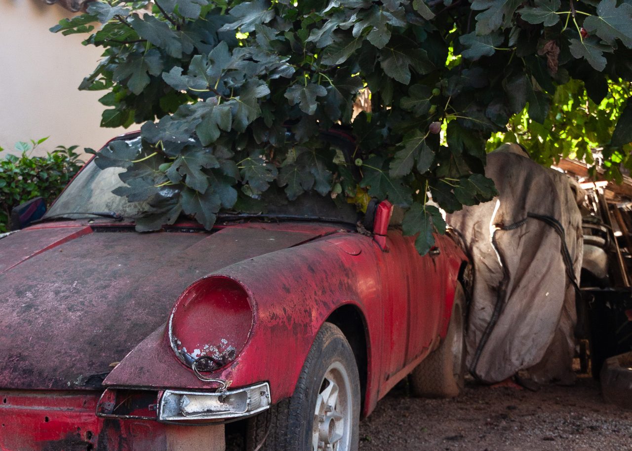 Porsche clásico rojo abandonado y cubierto de polvo bajo las ramas frondosas de una higuera que crece sobre la carrocería, en Castellón.
