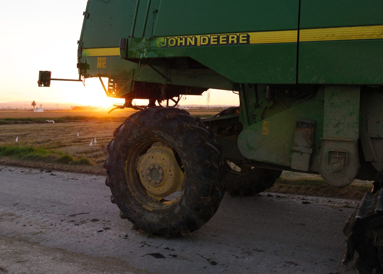 Una cosechadora John Deere detenida en un camino entre arrozales de la Albufera de Valencia al atardecer, con aves blancas y montañas en el horizonte.