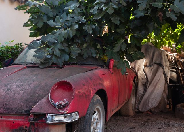 Porsche clásico rojo cubierto de polvo y ramas de higuera en un terreno de Castellón
